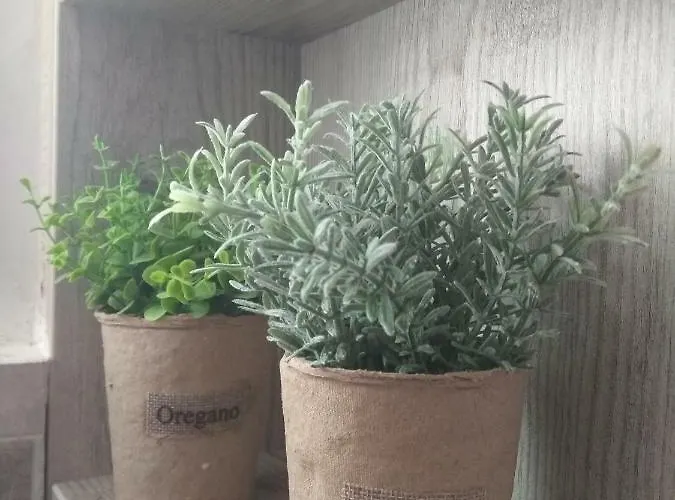 Chrysa Mare Lägenhet Kavala